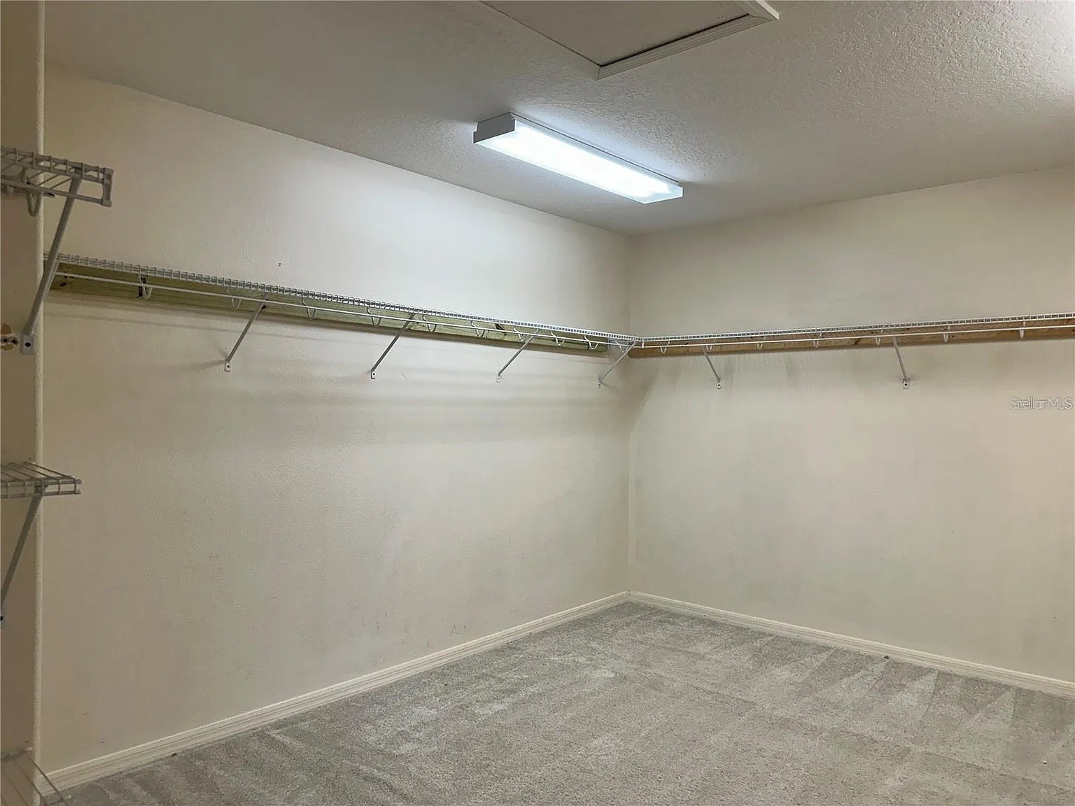 7232 Seedpod Loop Wesley Chapel FL 33545 TB8495938 image40