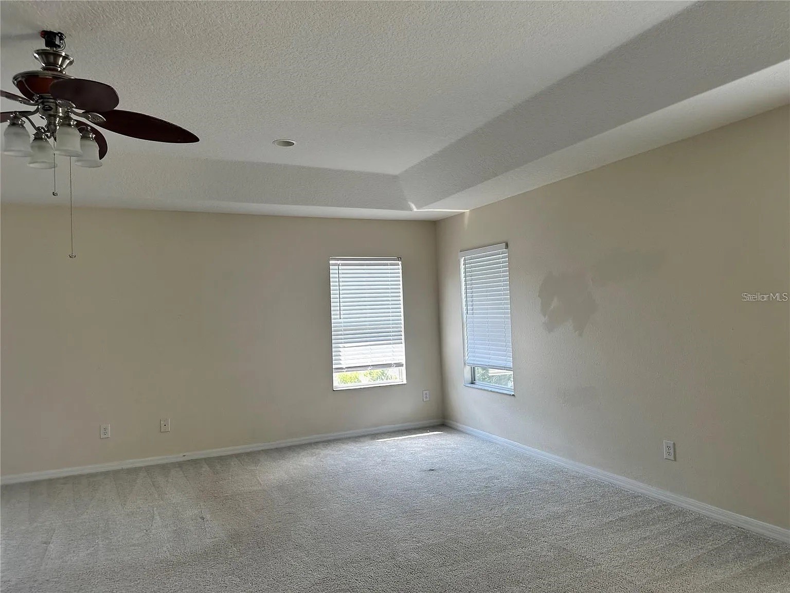 7232 Seedpod Loop Wesley Chapel FL 33545 TB8495938 image52