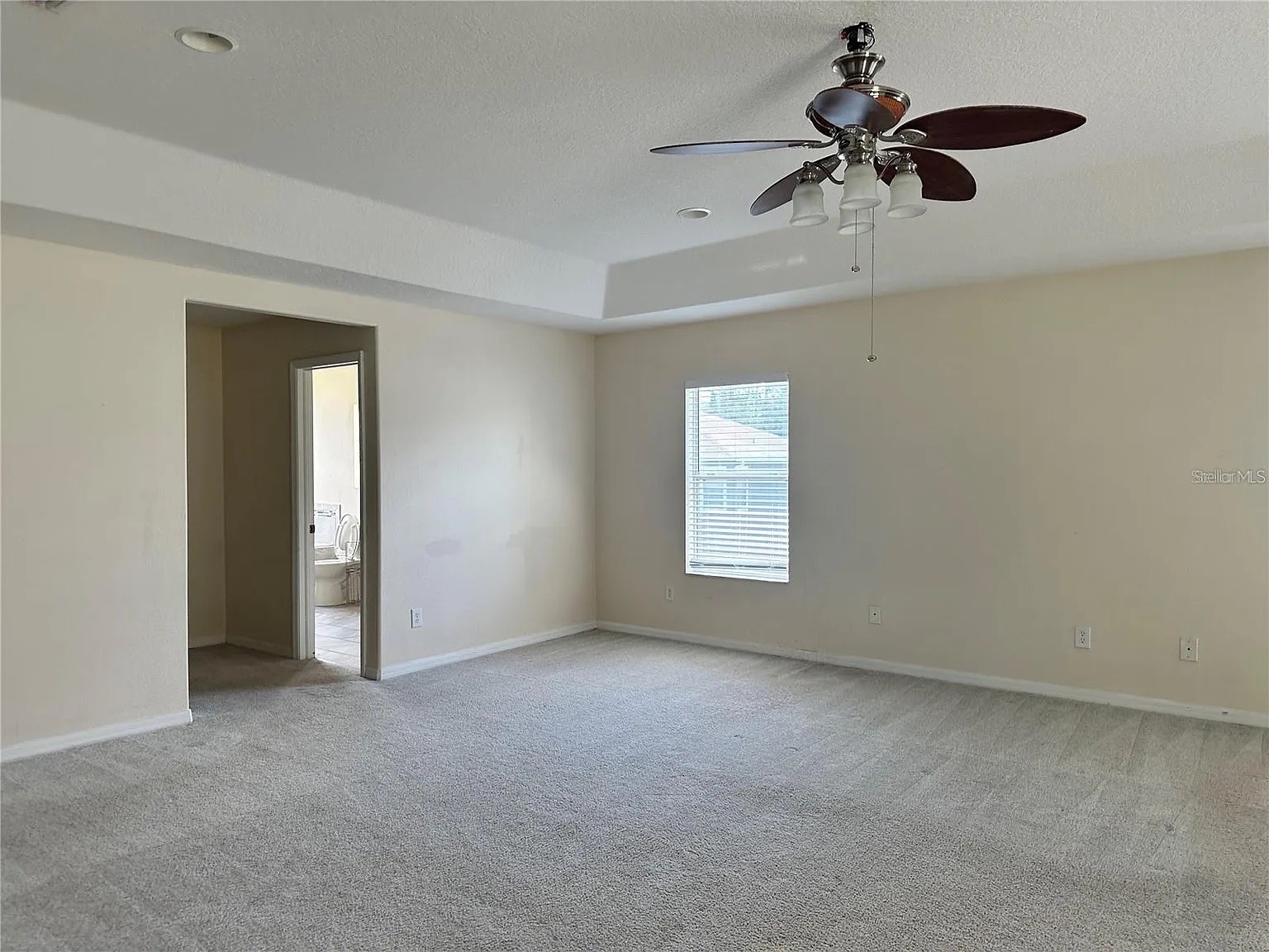 7232 Seedpod Loop Wesley Chapel FL 33545 TB8495938 image57