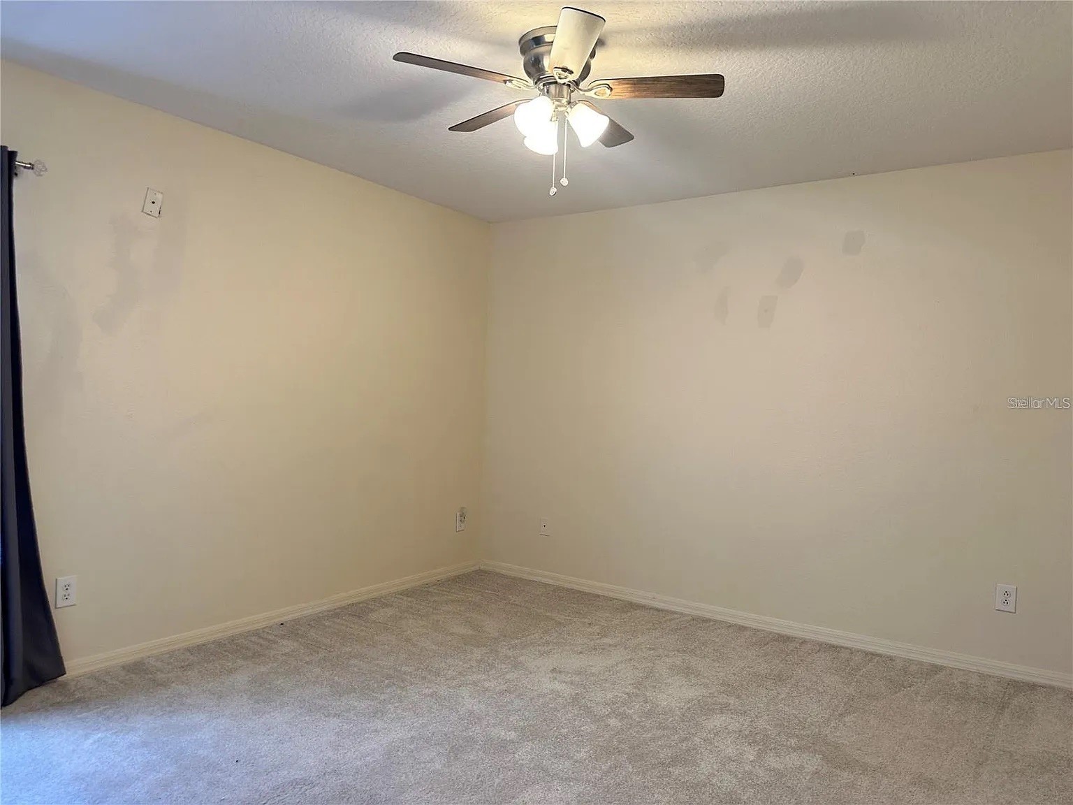 7232 Seedpod Loop Wesley Chapel FL 33545 TB8495938 image6