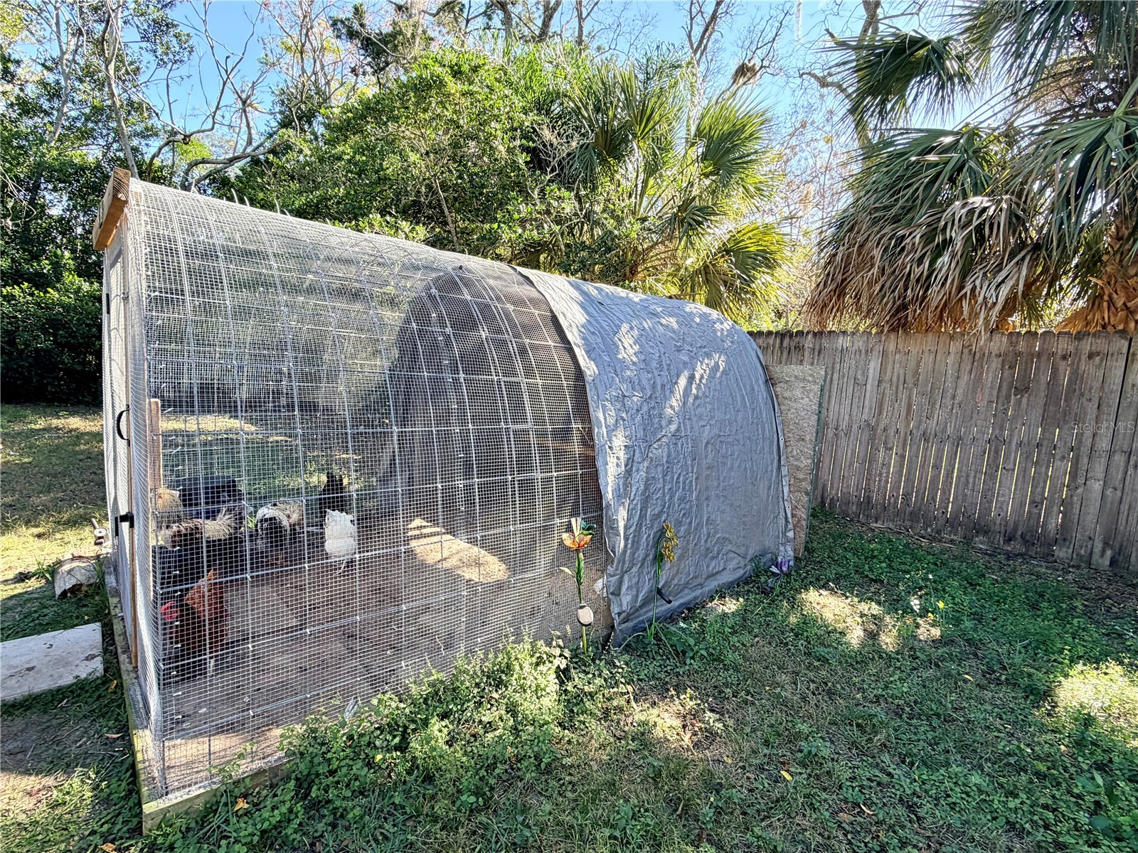 7232 Spring Hill Drive Spring Hill FL 34606 TB8456544 image16