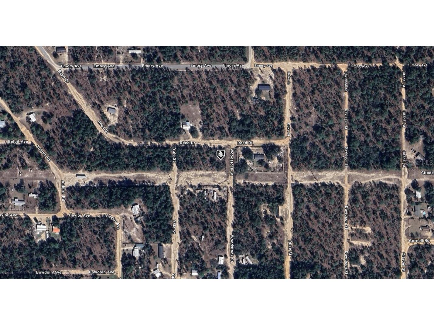 7232 Woodstock Street Keystone Heights FL 32656 A4669622 image2