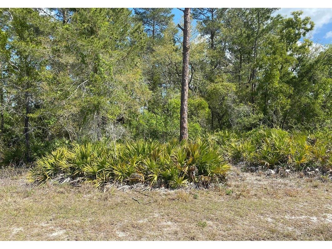 7233 Bahama Swallow Avenue Weeki Wachee FL 34613 T3352242 image1