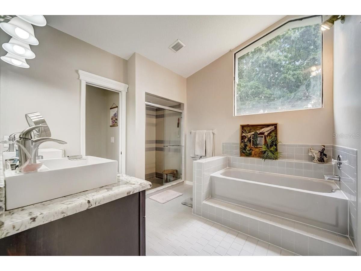 7233 Branchtree Drive Orlando FL 32835 O6392963 image24