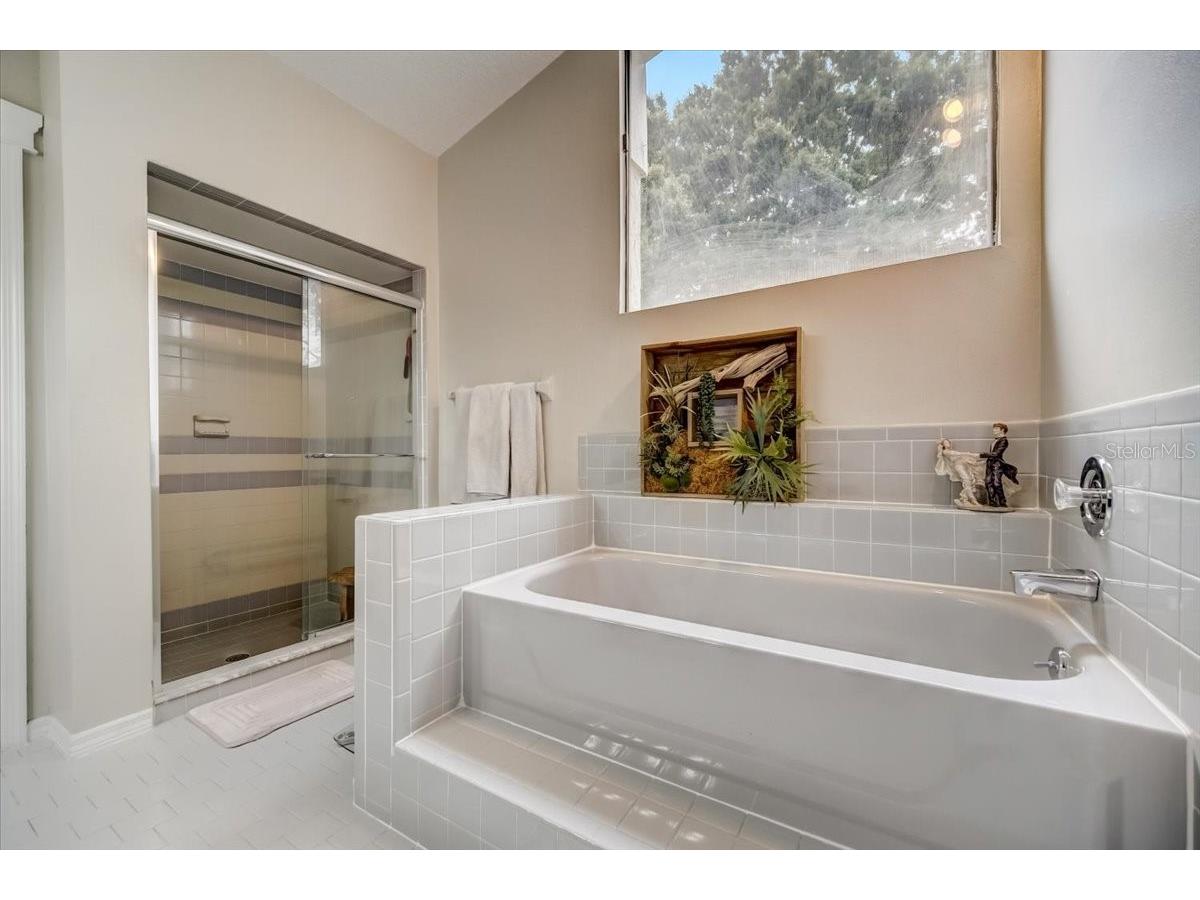 7233 Branchtree Drive Orlando FL 32835 O6392963 image25
