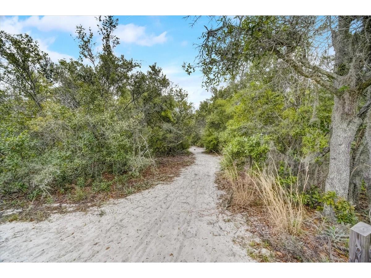 7233 Branchtree Drive Orlando FL 32835 O6392963 image57