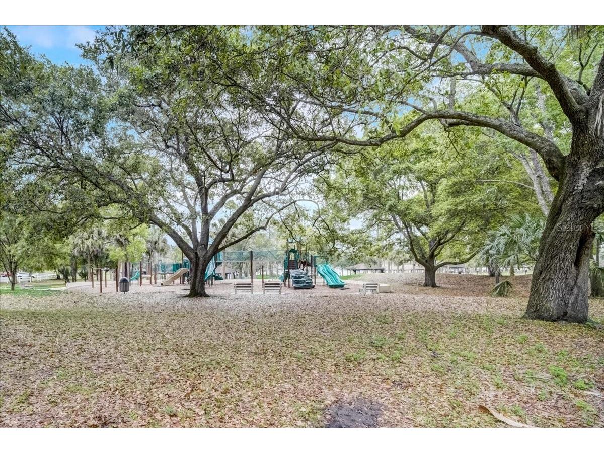 7233 Branchtree Drive Orlando FL 32835 O6392963 image59