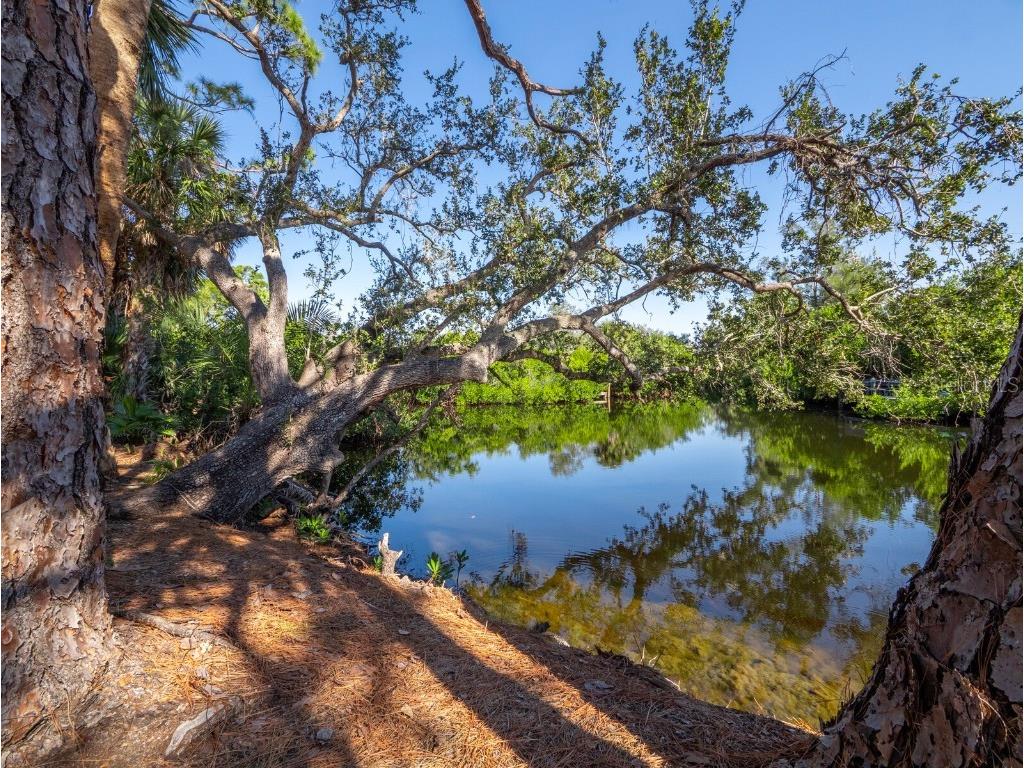 7233 Pine Needle Road Sarasota FL 34242 - HERON LAGOON A4673688 image15