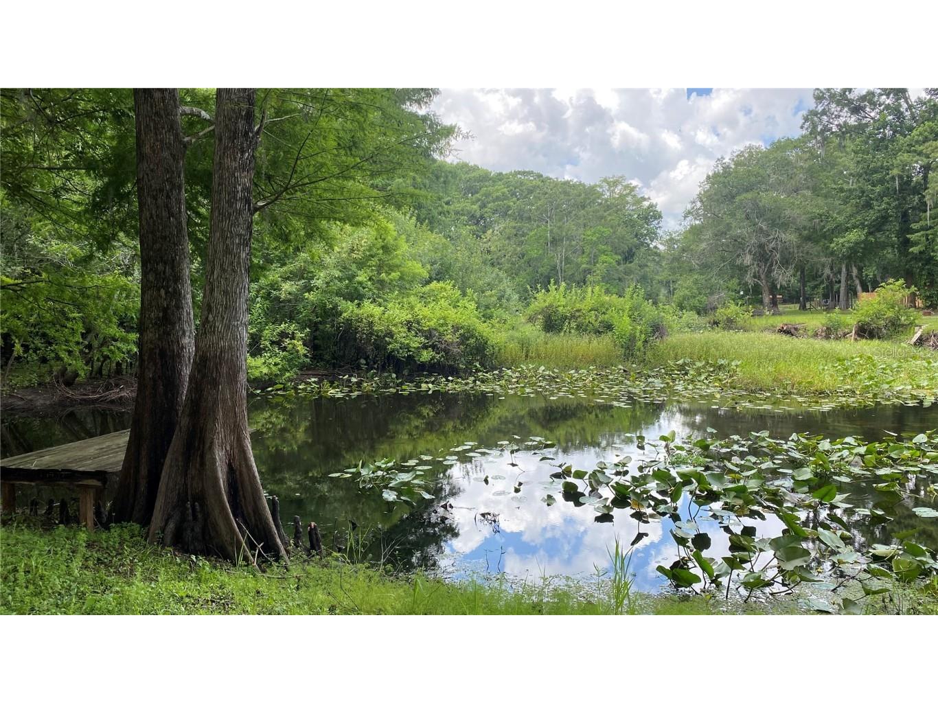 7234 Cr 651w Bushnell FL 33513 TB8394331 image1