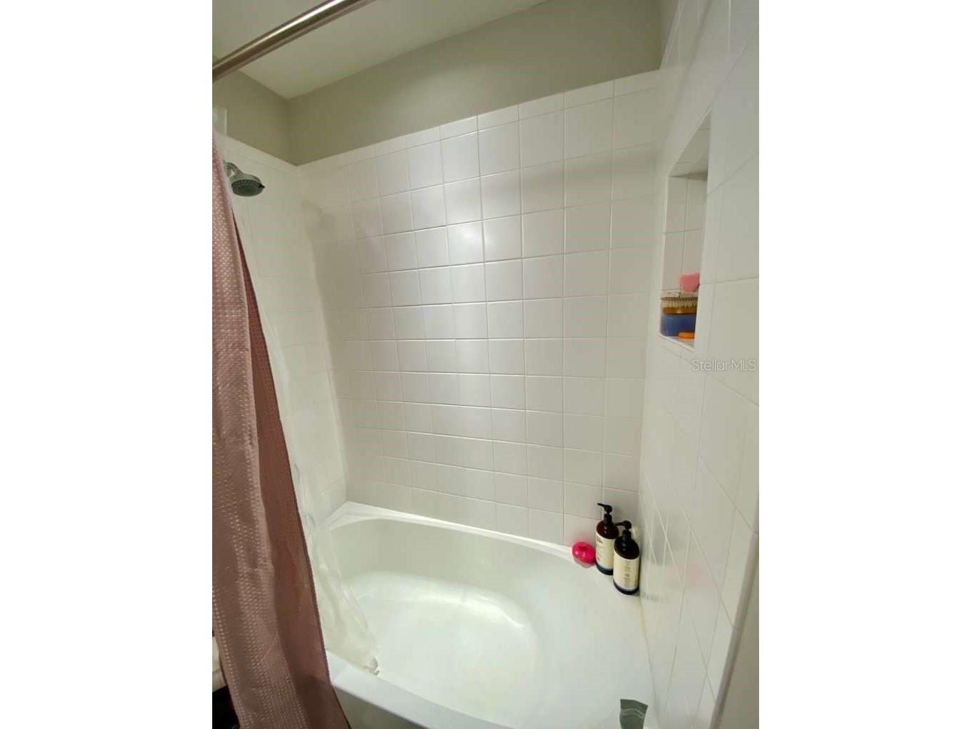 7234 Grand Elm Drive Riverview FL 33578 TB8478447 image12