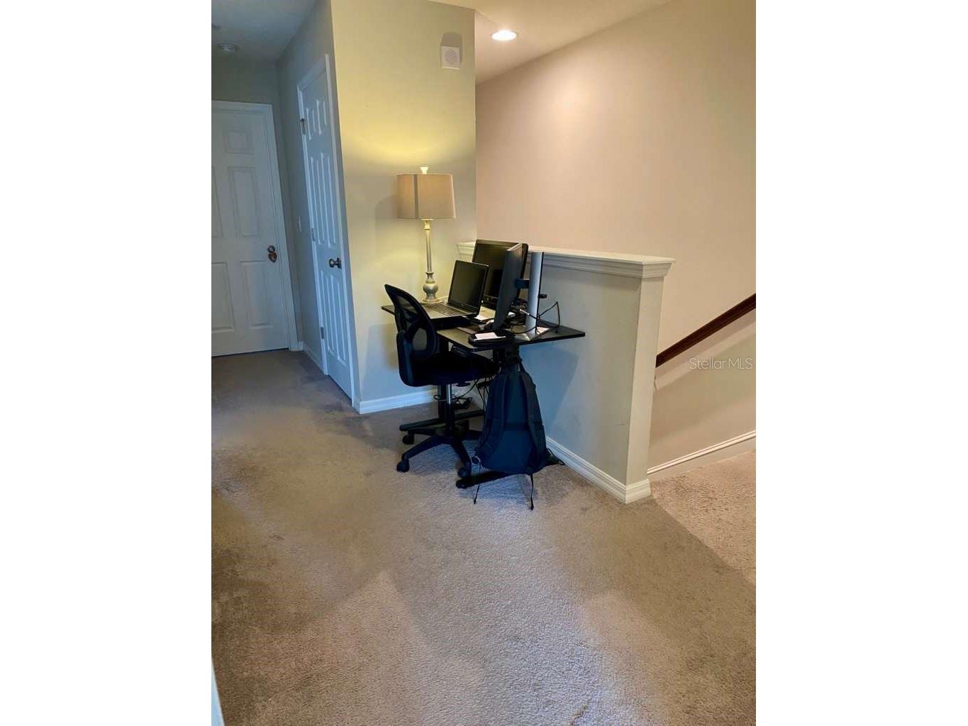 7234 Grand Elm Drive Riverview FL 33578 TB8478447 image18