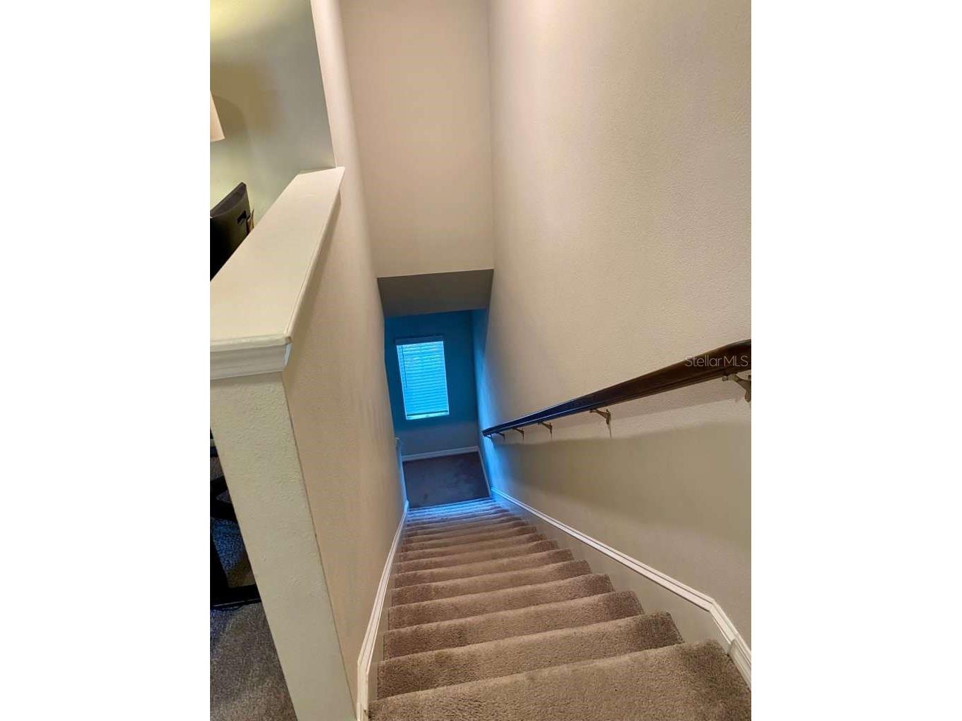 7234 Grand Elm Drive Riverview FL 33578 TB8478447 image5