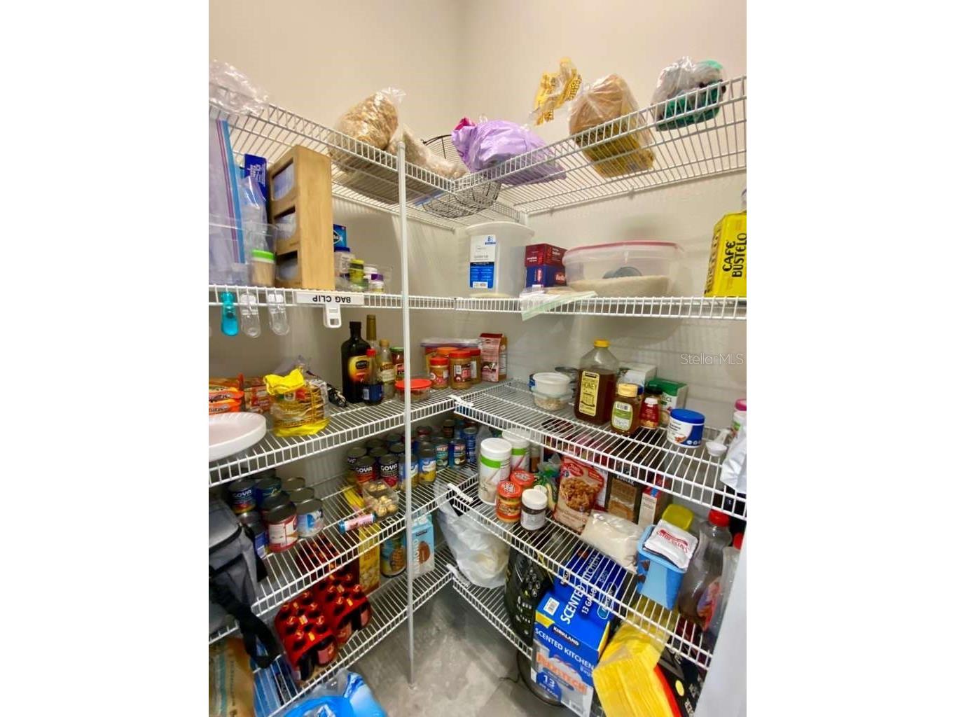 7234 Grand Elm Drive Riverview FL 33578 TB8478447 image7