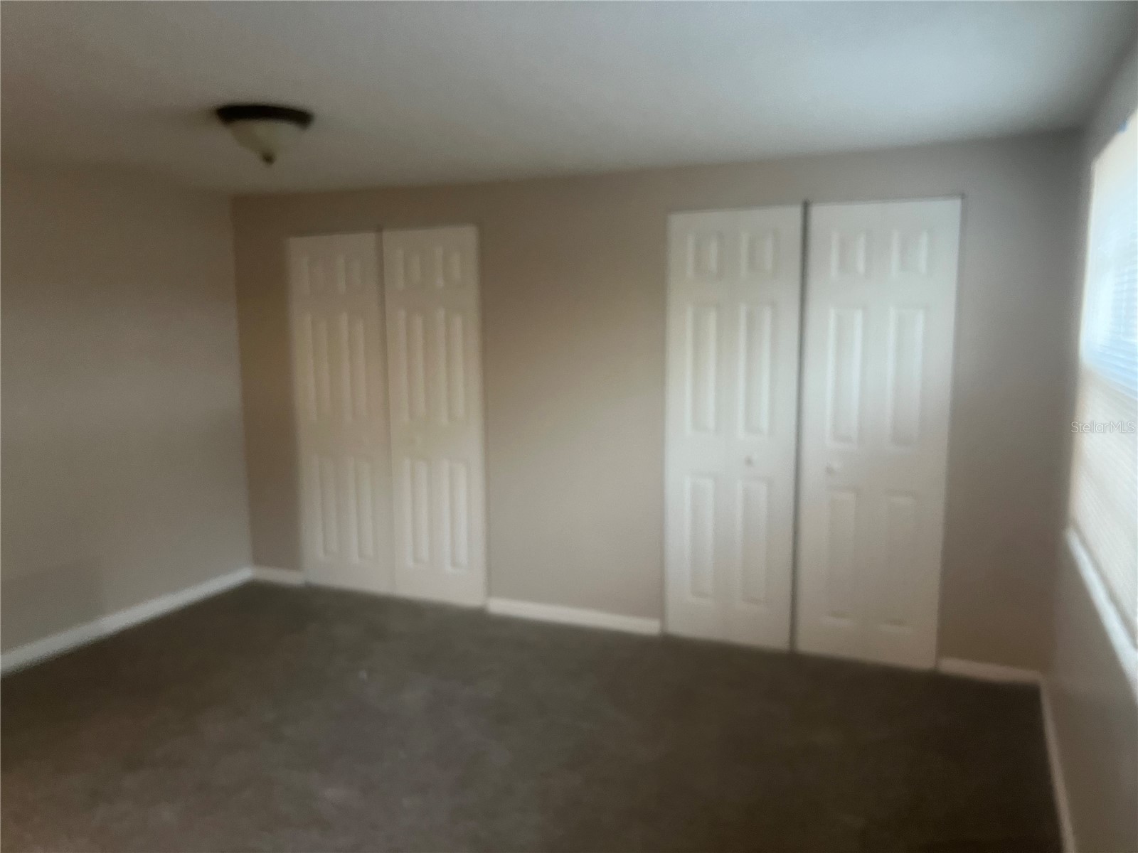 7234 Magnolia Valley Drive New Port Richey FL 34653 TB8483383 image22