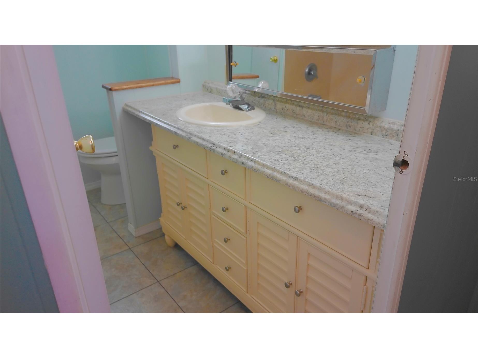 7234 Mount Fairfield Road NE #529 Saint Petersburg FL 33702 C7526786 image28
