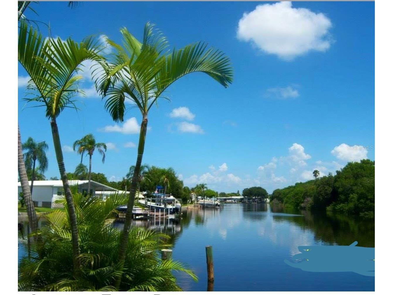 7234 Mount Fairfield Road NE #529 Saint Petersburg FL 33702 C7526786 image49