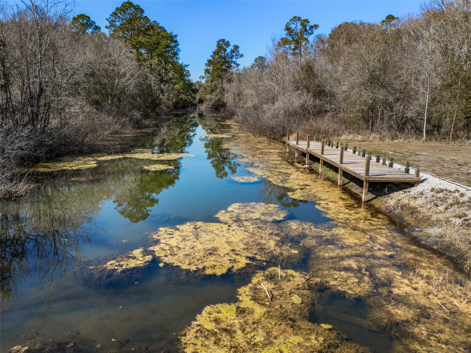 7235 N Canal Street Webster FL 33597 - WITHLACOOCHEE RIVER W7882532 image10