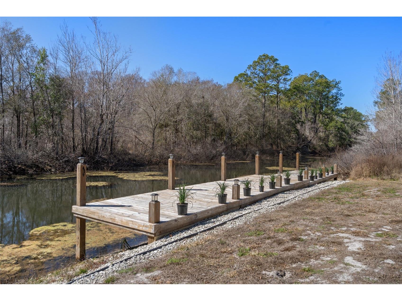 7235 N Canal Street Webster FL 33597 - WITHLACOOCHEE RIVER W7882532 image71