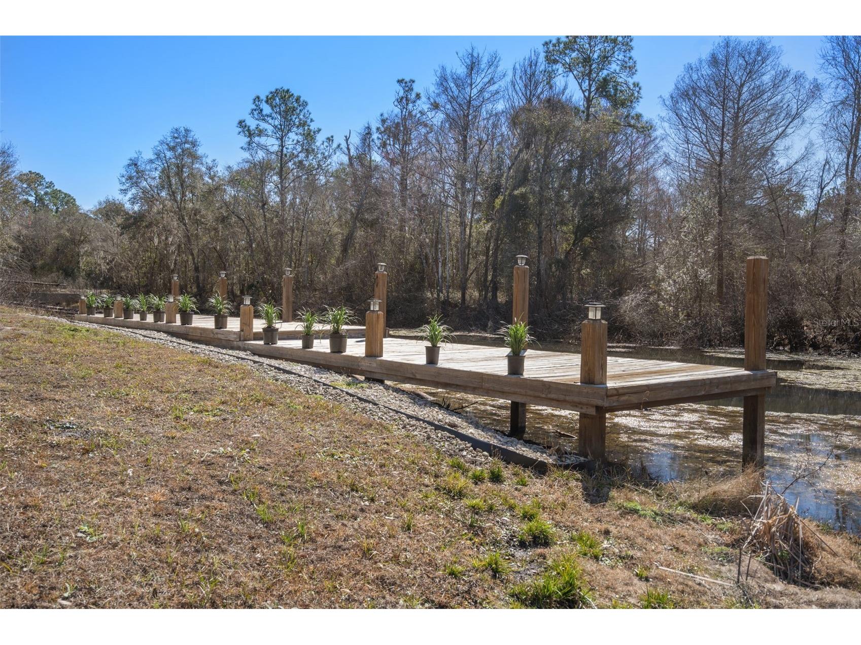 7235 N Canal Street Webster FL 33597 - WITHLACOOCHEE RIVER W7882532 image72