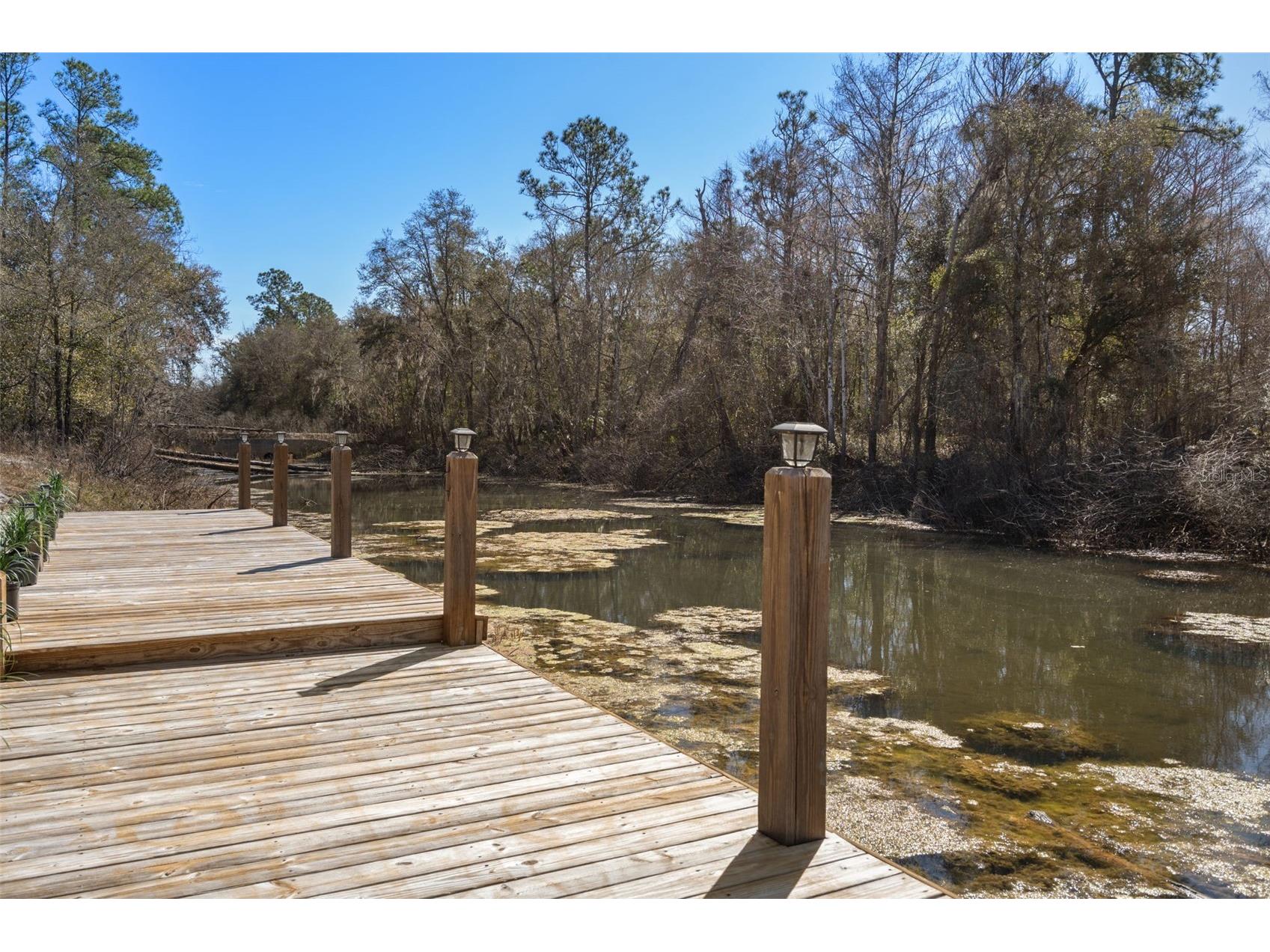 7235 N Canal Street Webster FL 33597 - WITHLACOOCHEE RIVER W7882532 image74