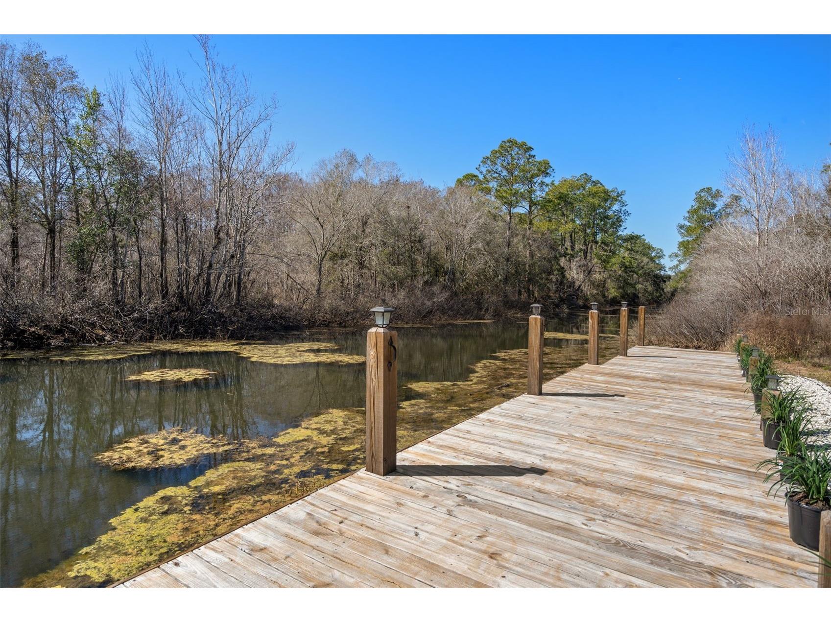 7235 N Canal Street Webster FL 33597 - WITHLACOOCHEE RIVER W7882532 image75