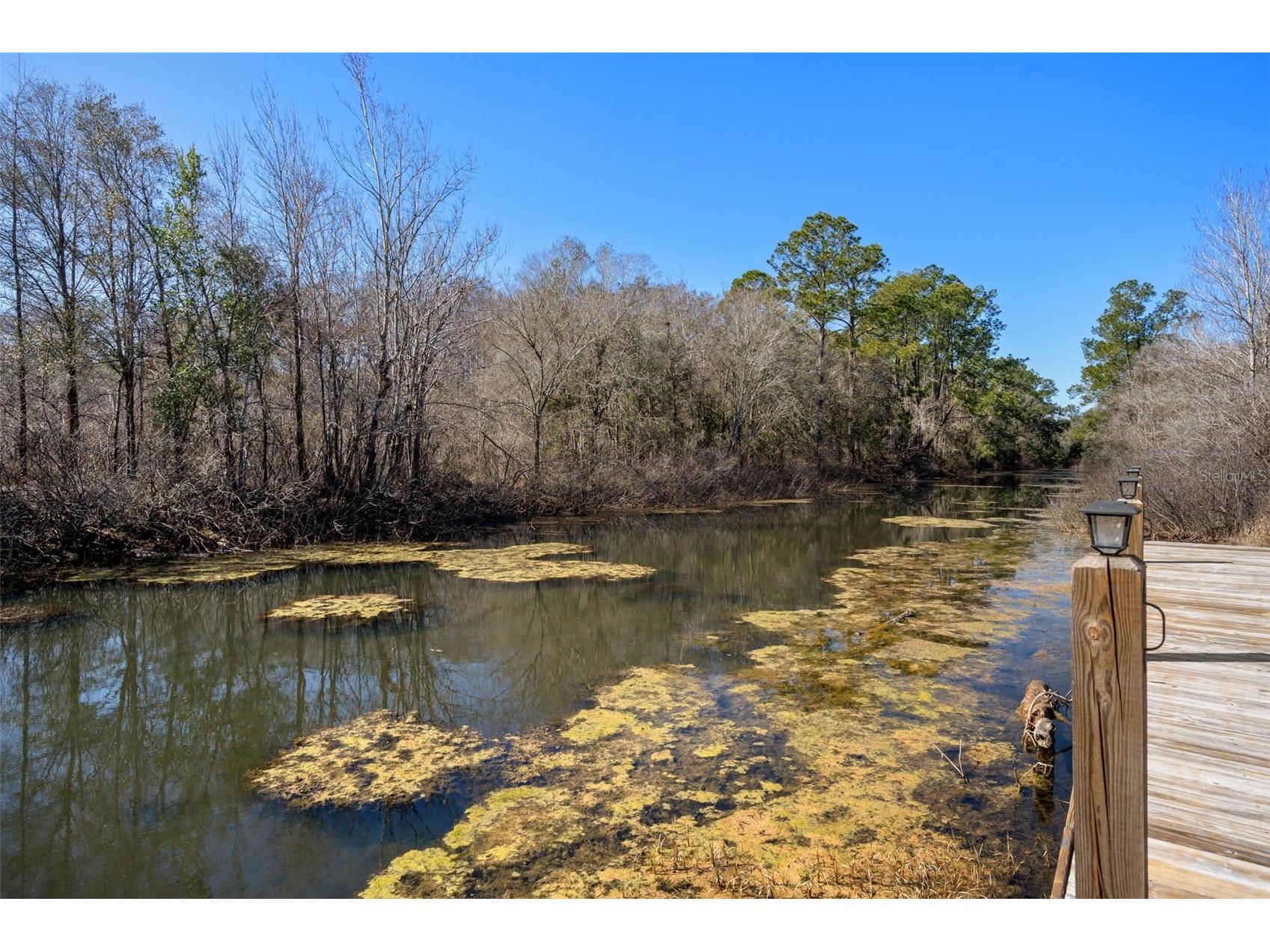 7235 N Canal Street Webster FL 33597 - WITHLACOOCHEE RIVER W7882532 image76