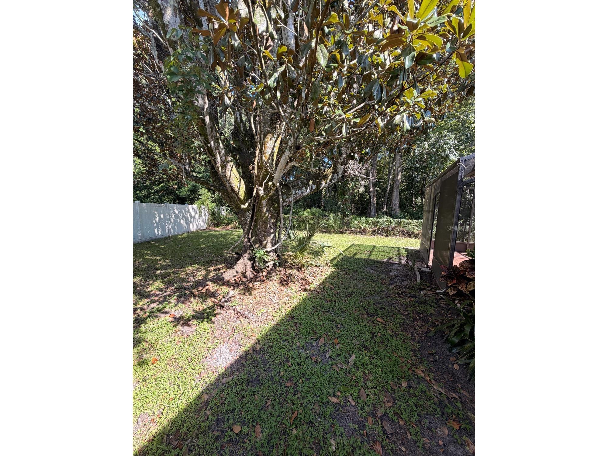 7235 Redbud Court New Port Richey FL 34653 TB8469969 image20
