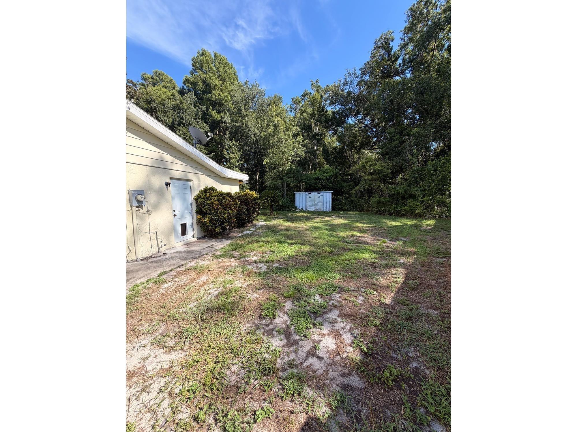 7235 Redbud Court New Port Richey FL 34653 TB8469969 image22