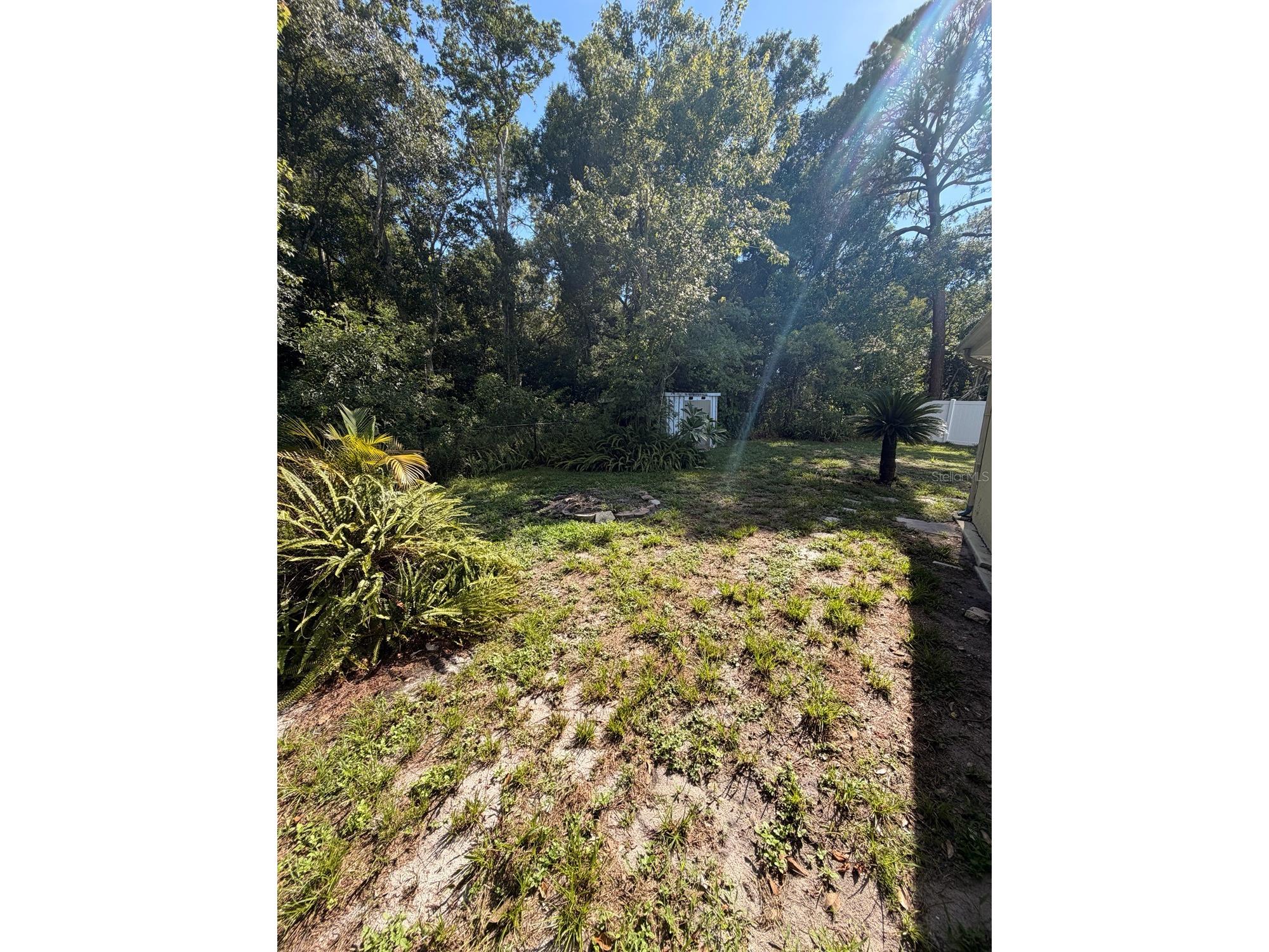 7235 Redbud Court New Port Richey FL 34653 TB8469969 image23