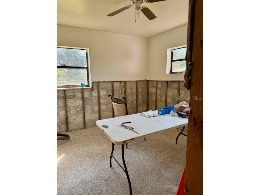 7235 Royal Palm Drive New Port Richey FL 34652 TB8454682 image10