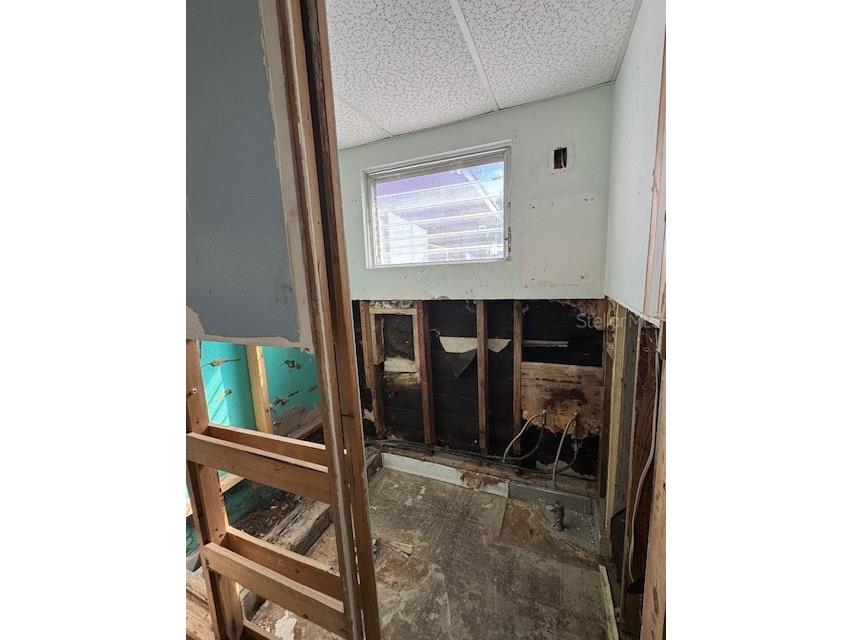 7235 Royal Palm Drive New Port Richey FL 34652 TB8454682 image4