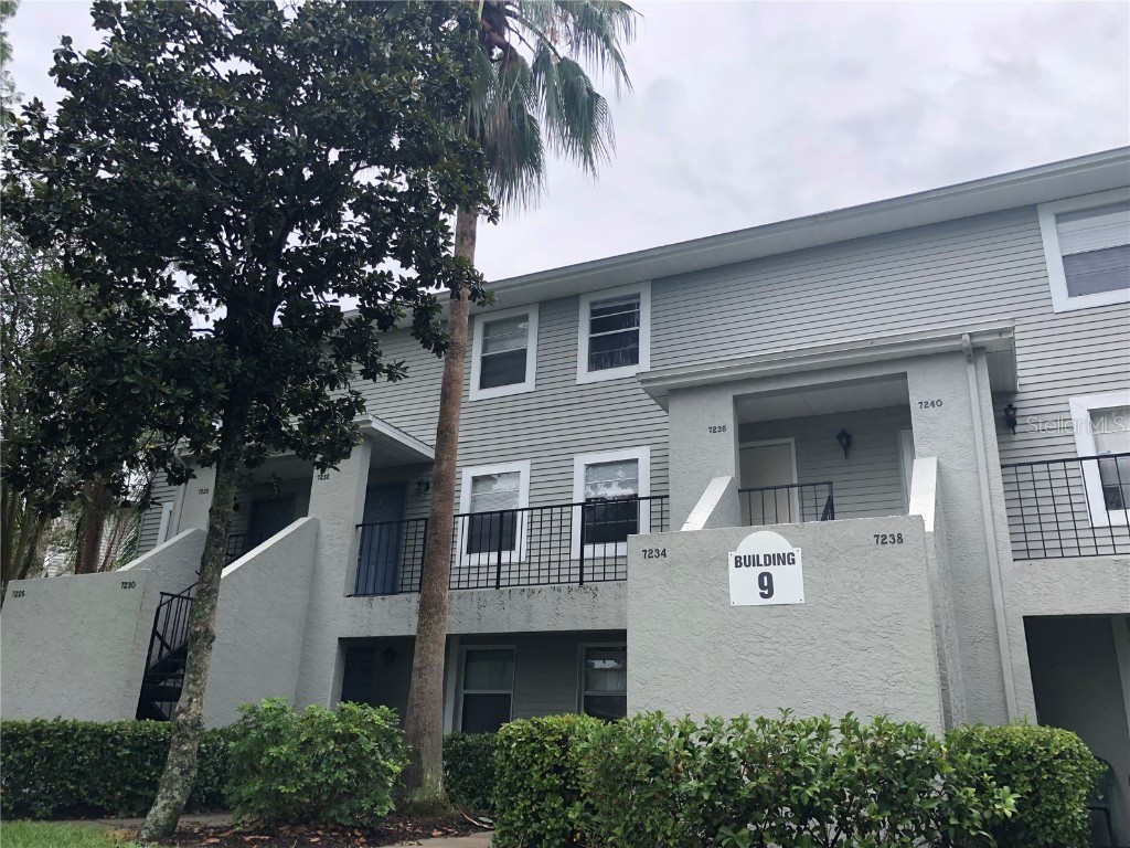 7236 E Bank Drive Tampa FL 33617 T3458917 image1