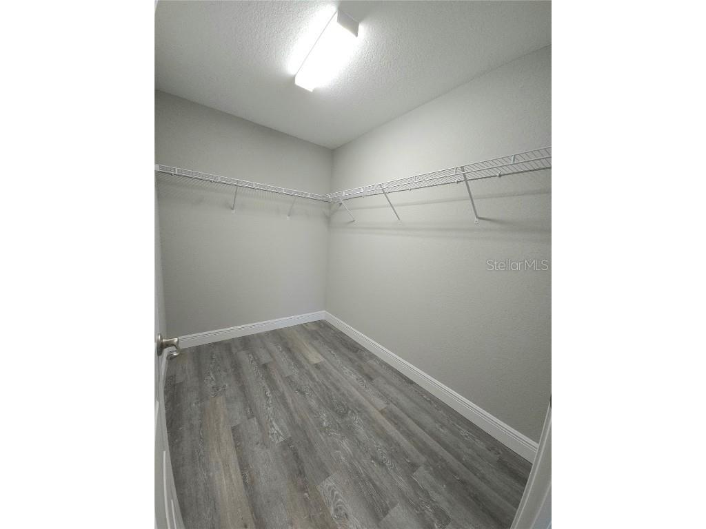 7236 N Glenridge Circle Citrus Springs FL 34434 O6364842 image5