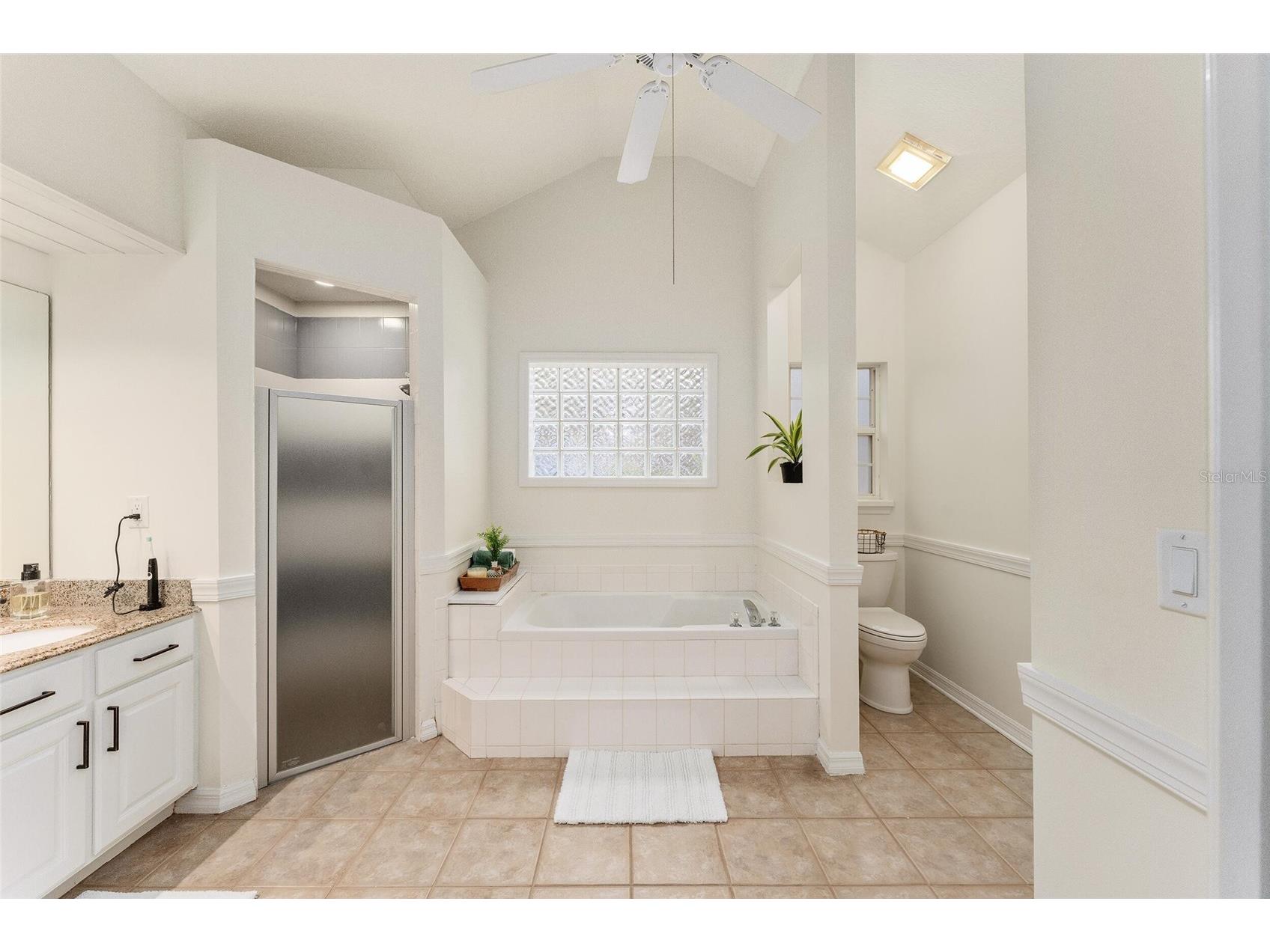 7237 Edmund Court Mount Dora FL 32757 O6393908 image13