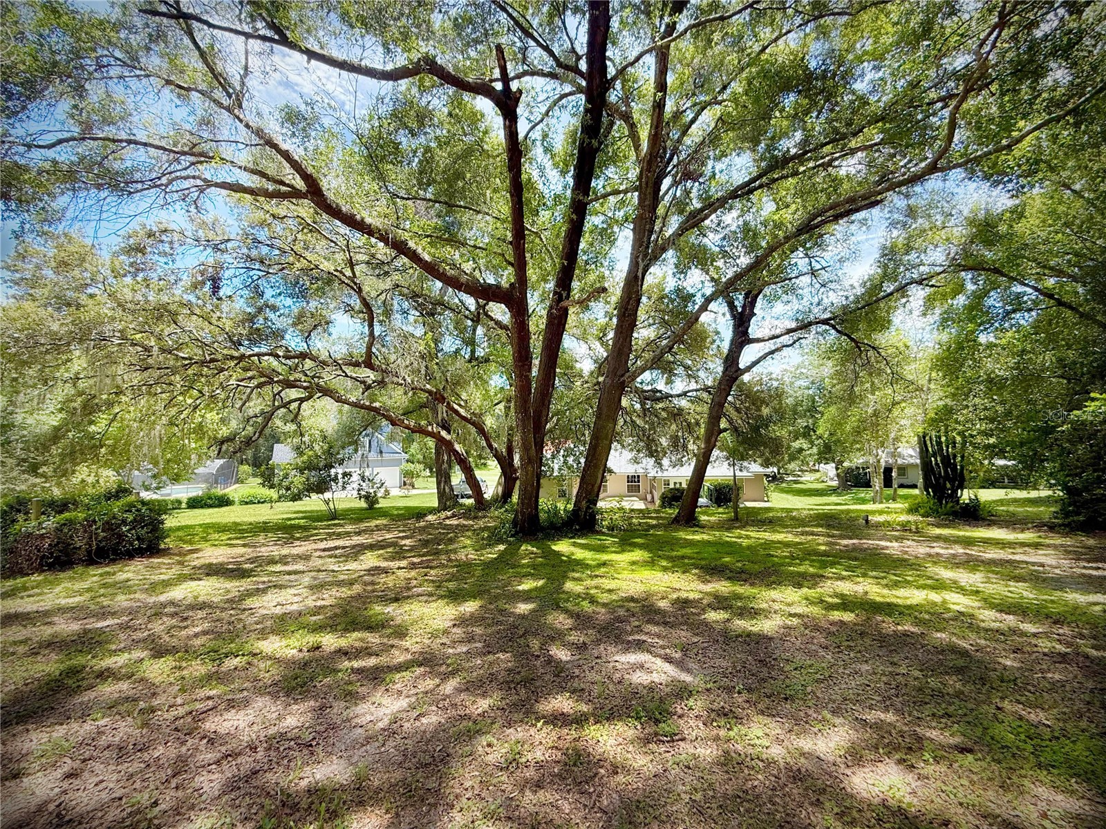 7237 Edmund Court Mount Dora FL 32757 O6393908 image17