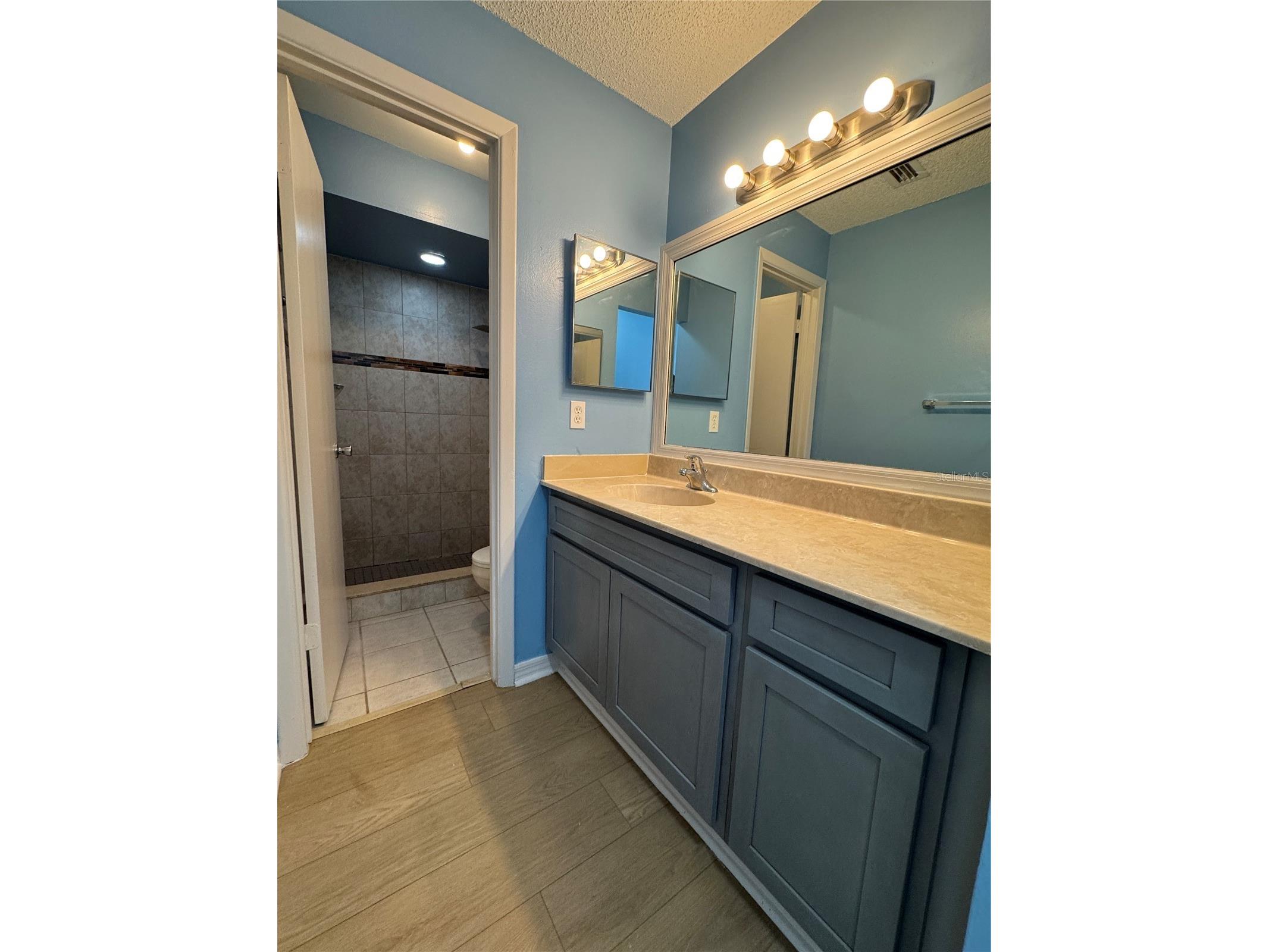 7237 Harbor Heights Circle Orlando FL 32835 O6412860 image12