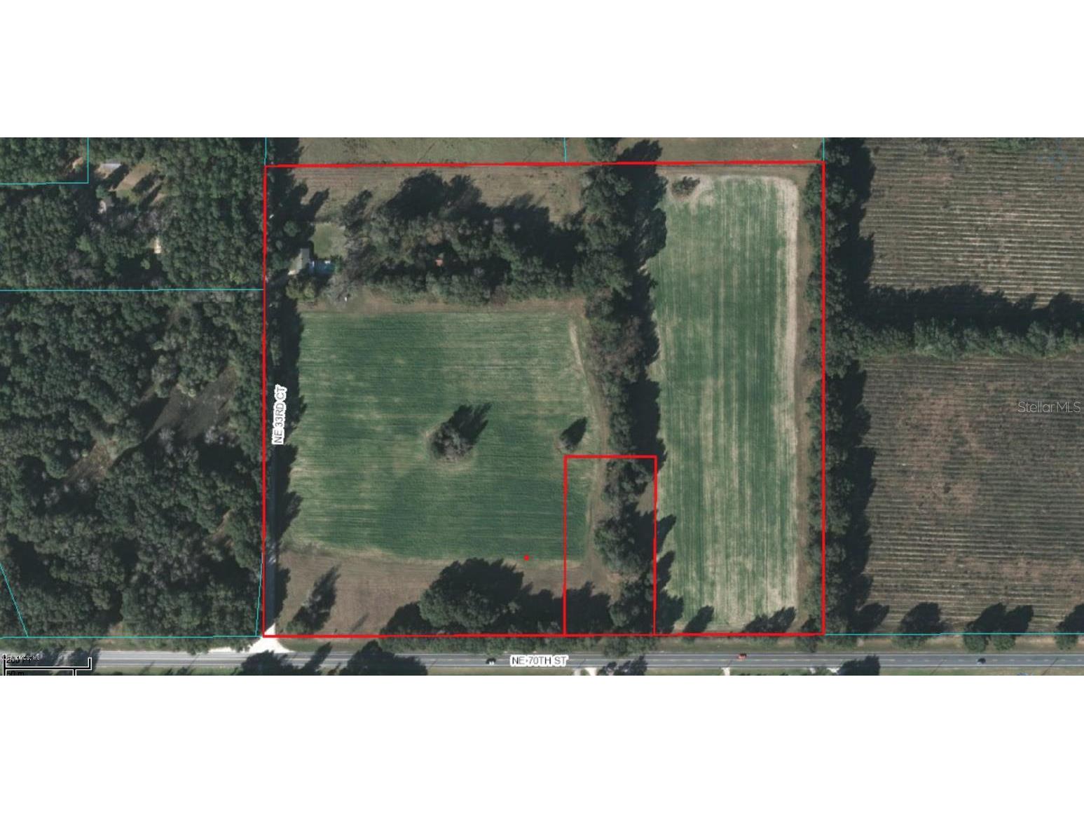 7237 NE 33rd Court Anthony FL 32617 OM568683 image1