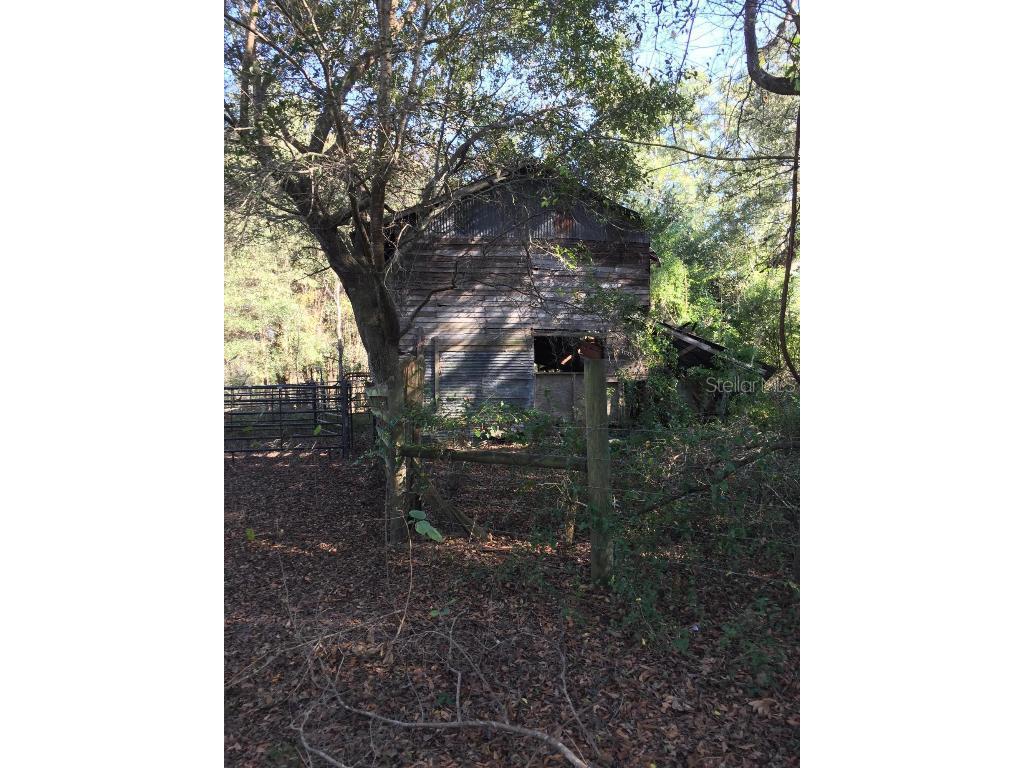 7237 NE 33rd Court Anthony FL 32617 OM568683 image7