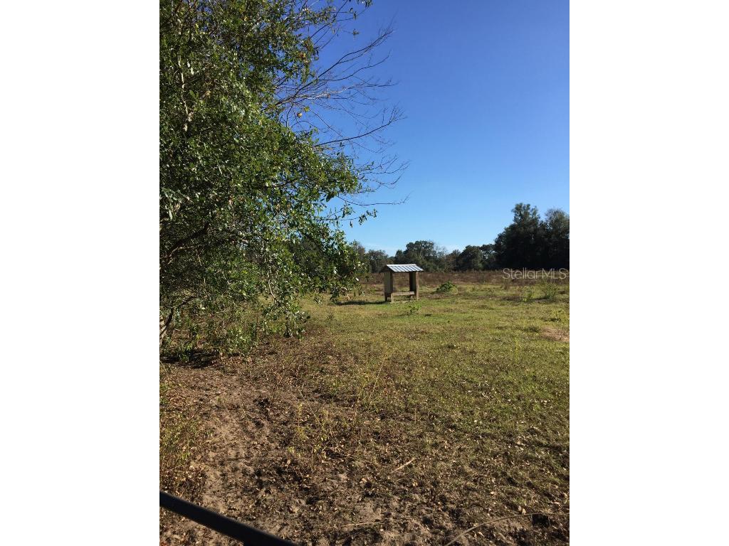 7237 NE 33rd Court Anthony FL 32617 OM568683 image8