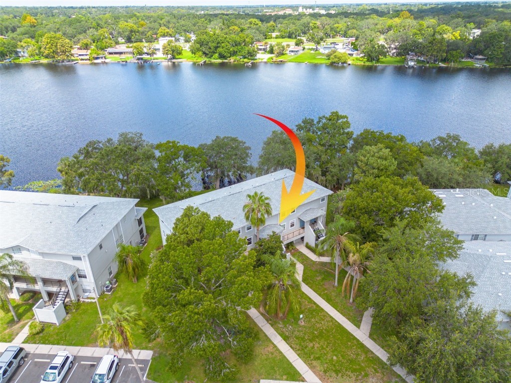 7238 E Bank Drive #104 Tampa FL 33617 TB8413917 image1