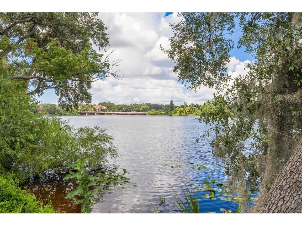 7238 E Bank Drive #104 Tampa FL 33617 TB8413917 image17