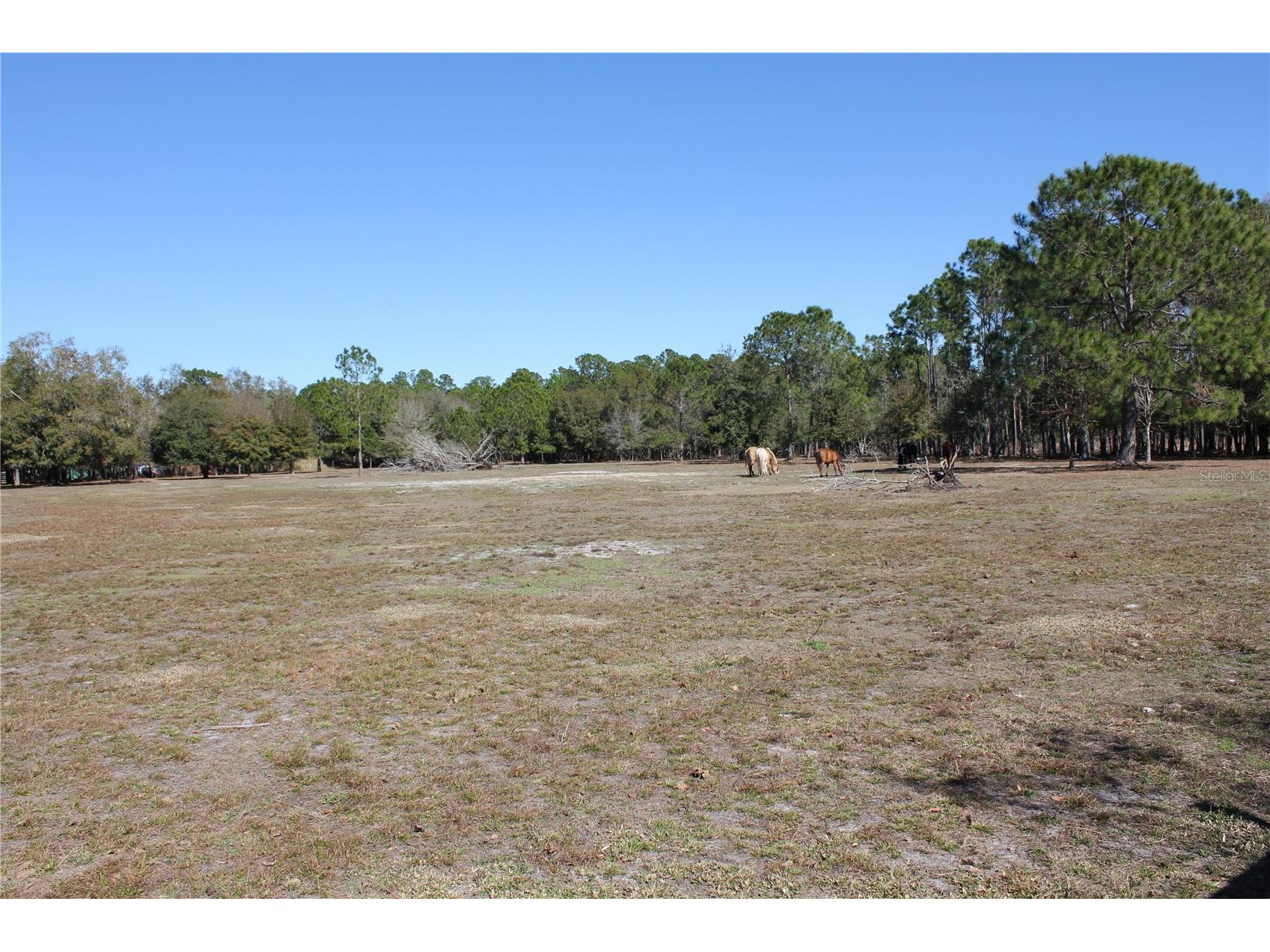 7238 Evergreen Loop Polk City FL 33868 K4903242 image26