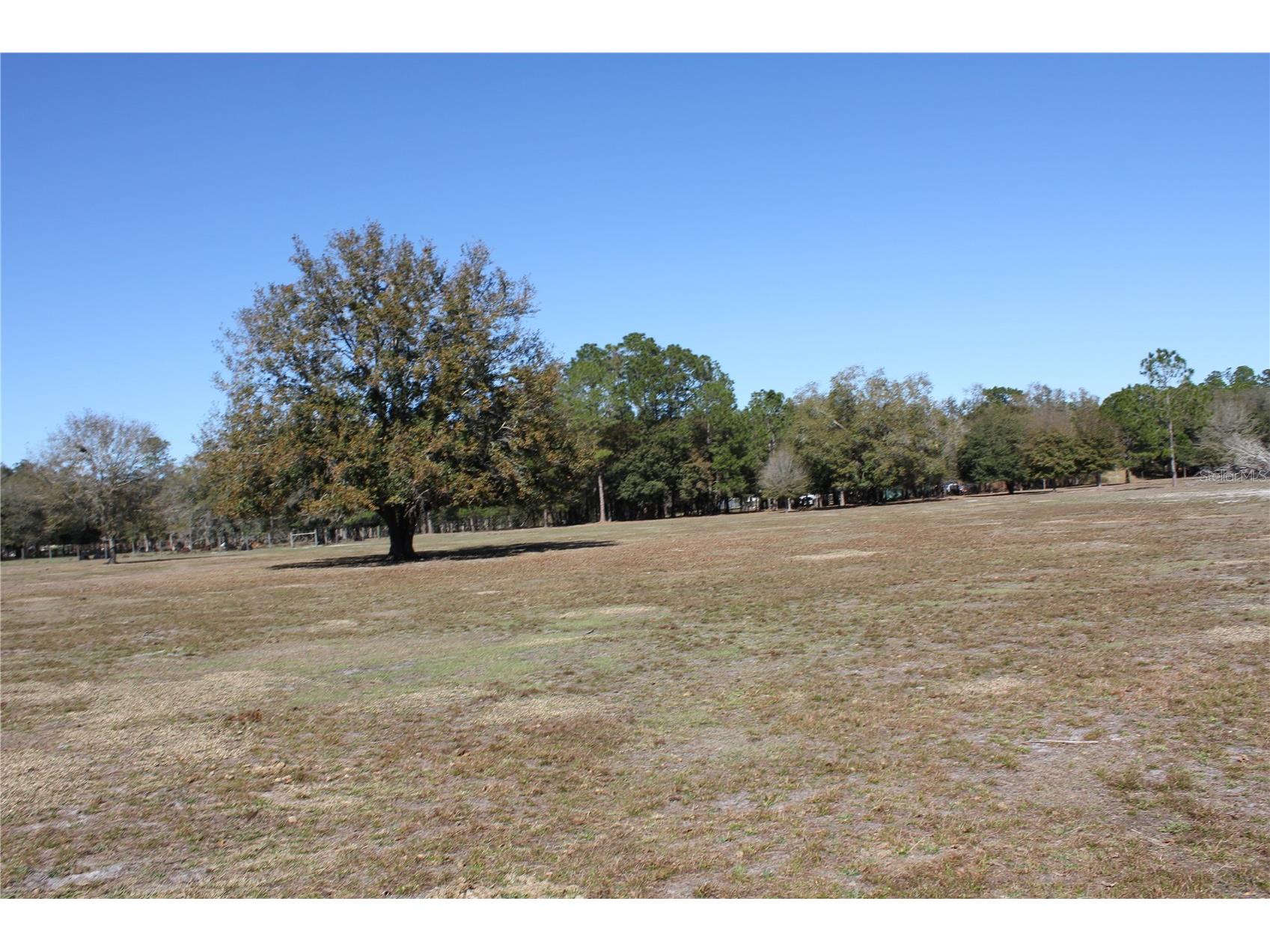 7238 Evergreen Loop Polk City FL 33868 K4903242 image27