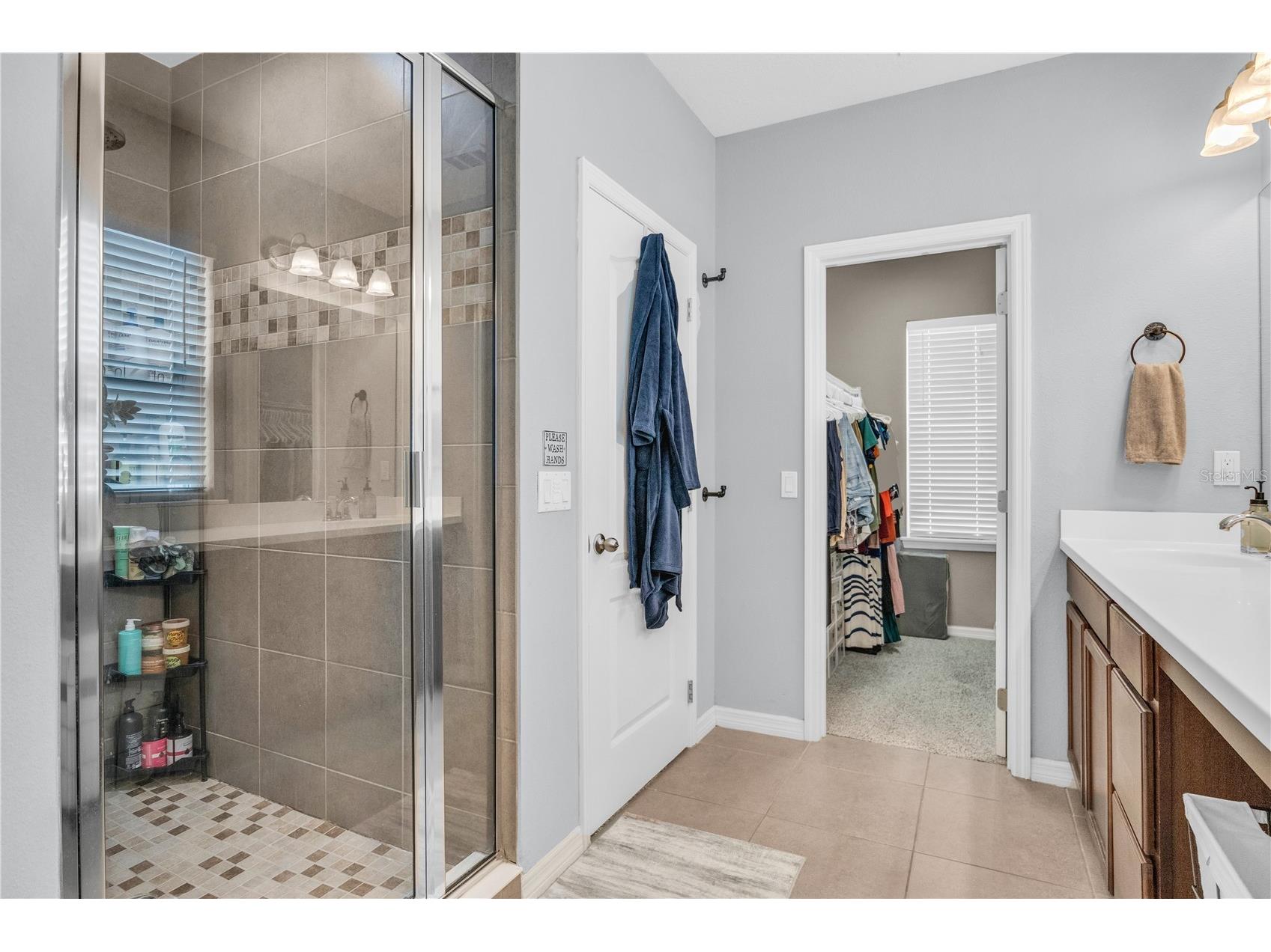7238 Milestone Drive Apollo Beach FL 33572 TB8481449 image26