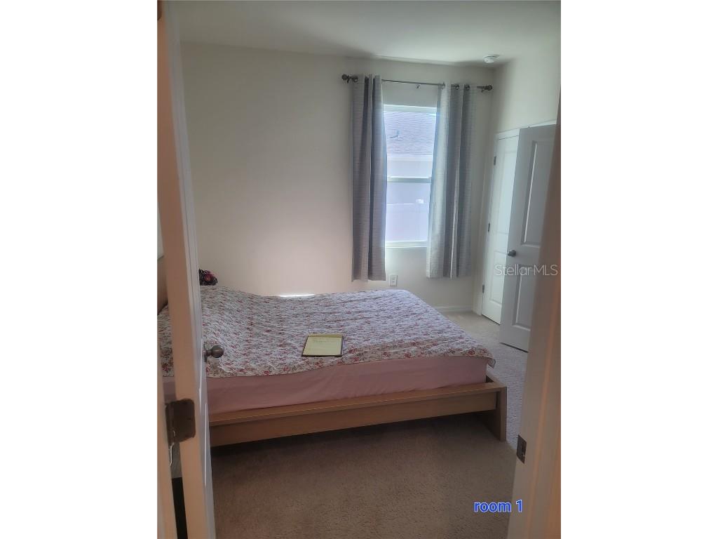 7238 Steer Blade Drive Zephyrhills FL 33541 TB8449097 image11