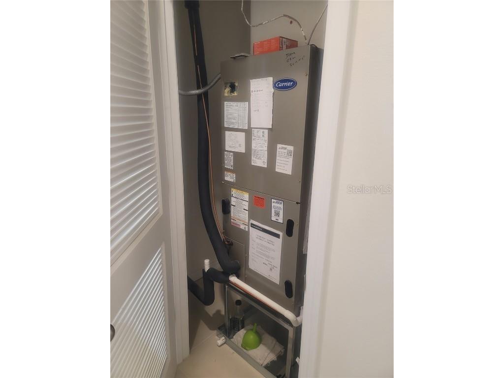 7238 Steer Blade Drive Zephyrhills FL 33541 TB8449097 image19