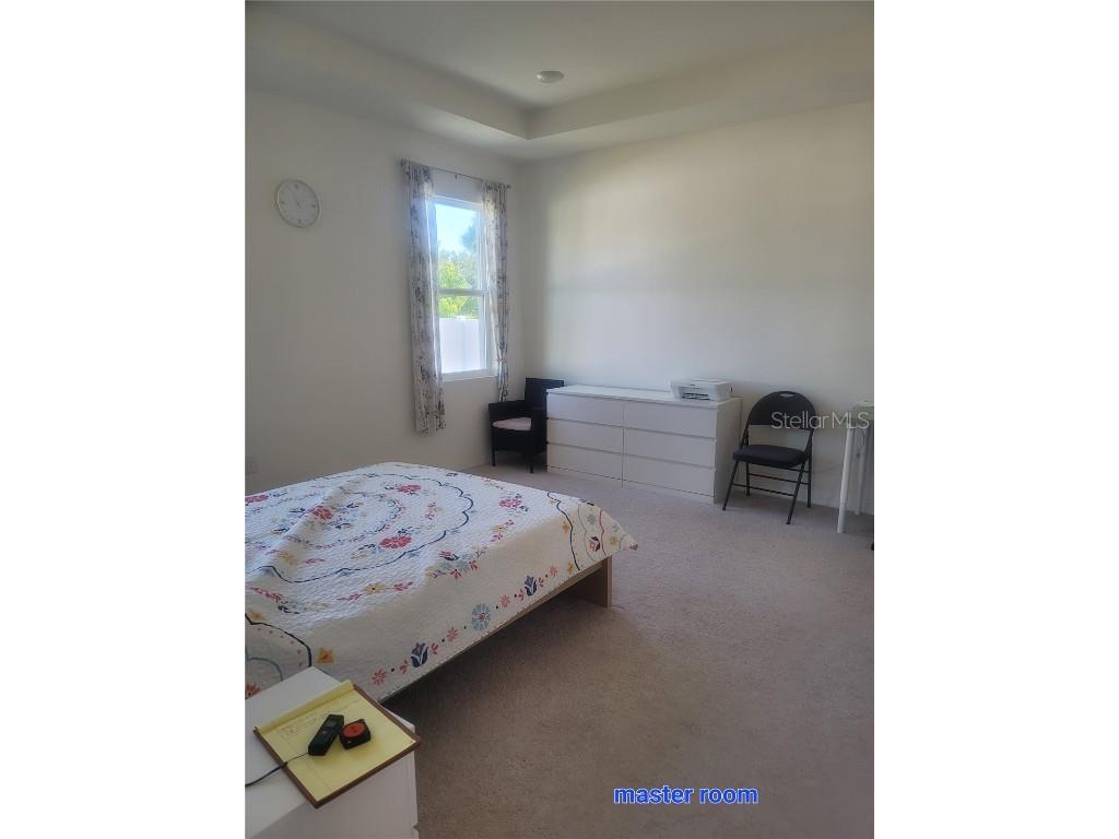 7238 Steer Blade Drive Zephyrhills FL 33541 TB8449097 image23