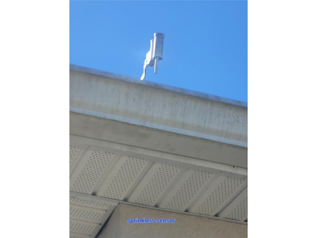 7238 Steer Blade Drive Zephyrhills FL 33541 TB8449097 image25