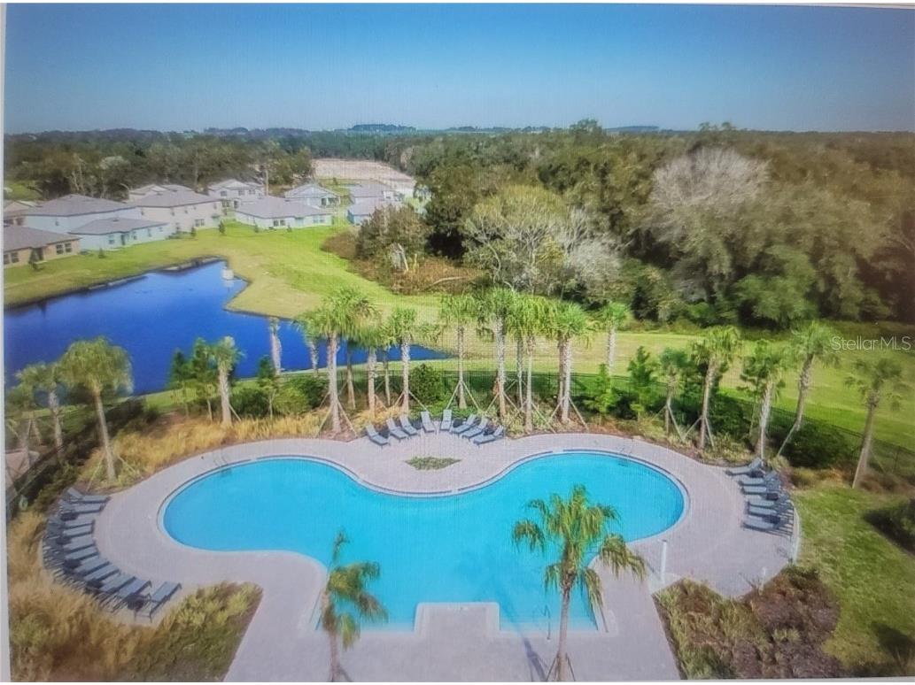 7238 Steer Blade Drive Zephyrhills FL 33541 TB8449097 image27