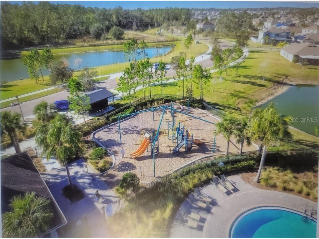 7238 Steer Blade Drive Zephyrhills FL 33541 TB8449097 image28